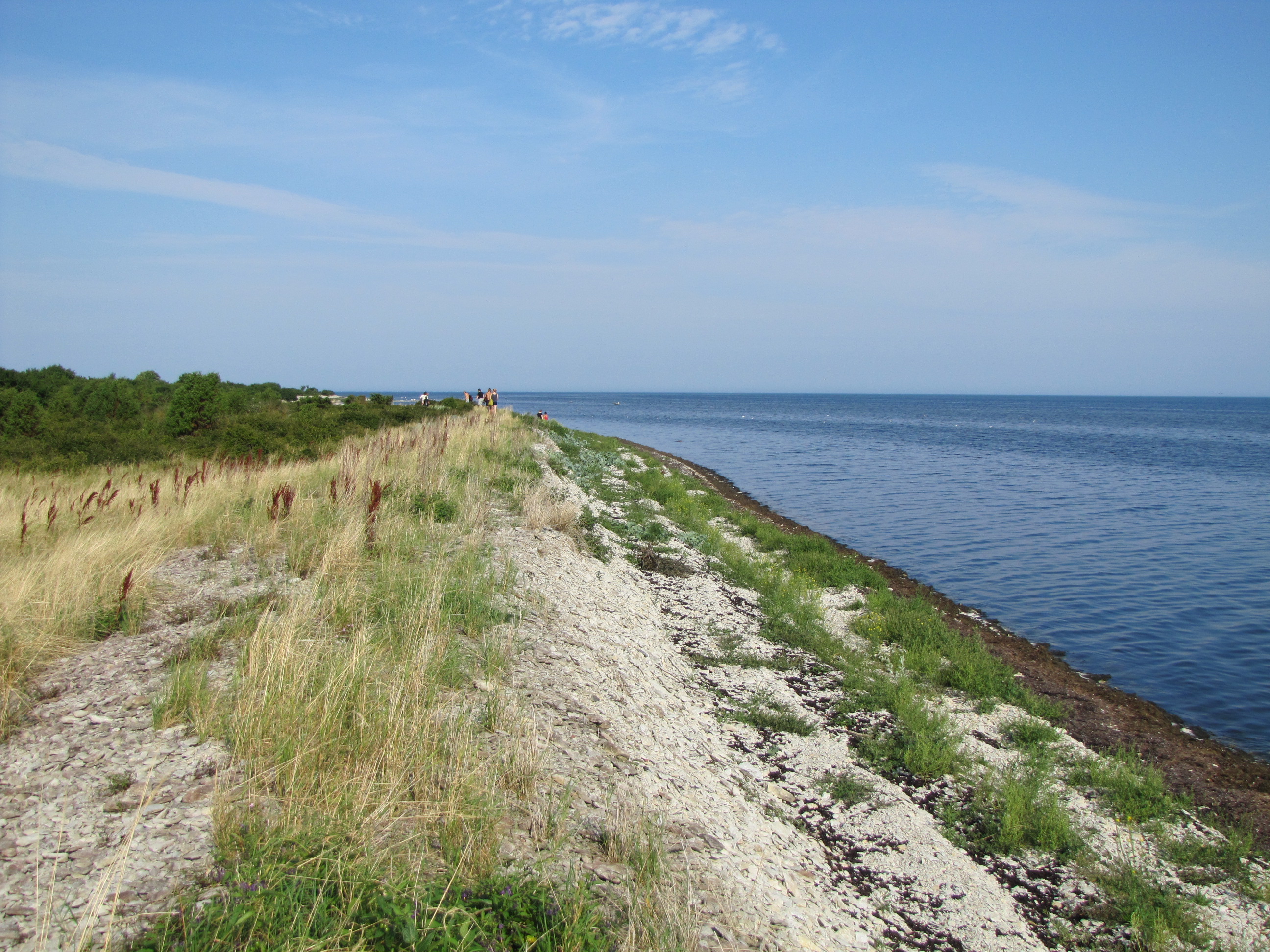 Taimestikuga kliburand