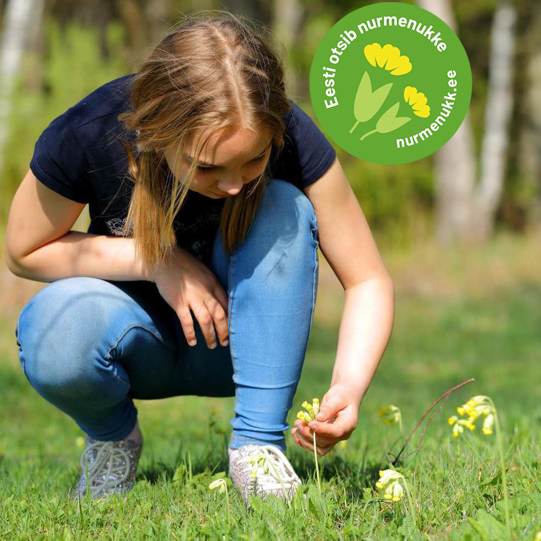 Eesti otsib nurmenukke. Foto: Kaarel Kaisel