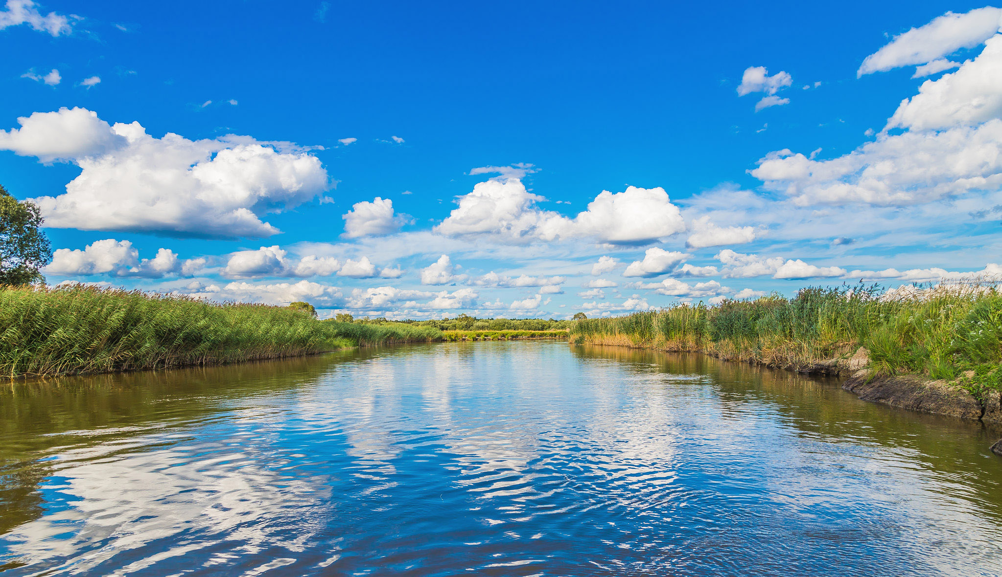 ЭМАЙЫГИ-СУУРСО