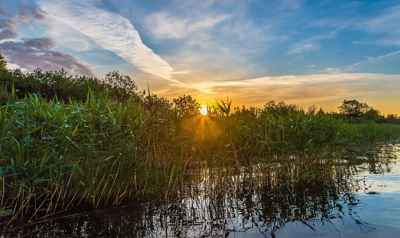 Päikesetõus Alam-Pedjal