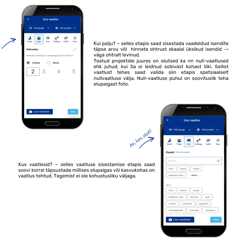J3 Etapid arvukus ja kus