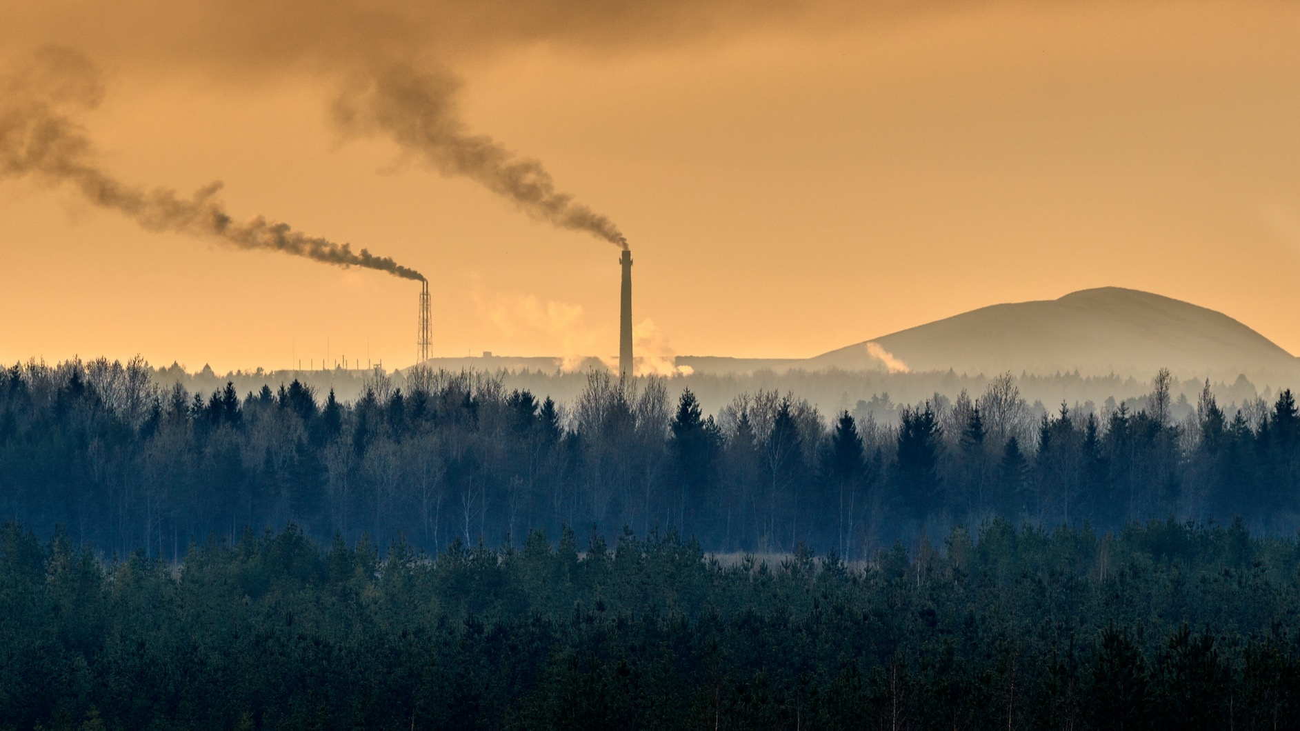 ВЕЧЕР В ВИРУМАА.