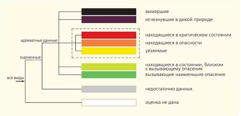 Охранный статус и Красная Книга
