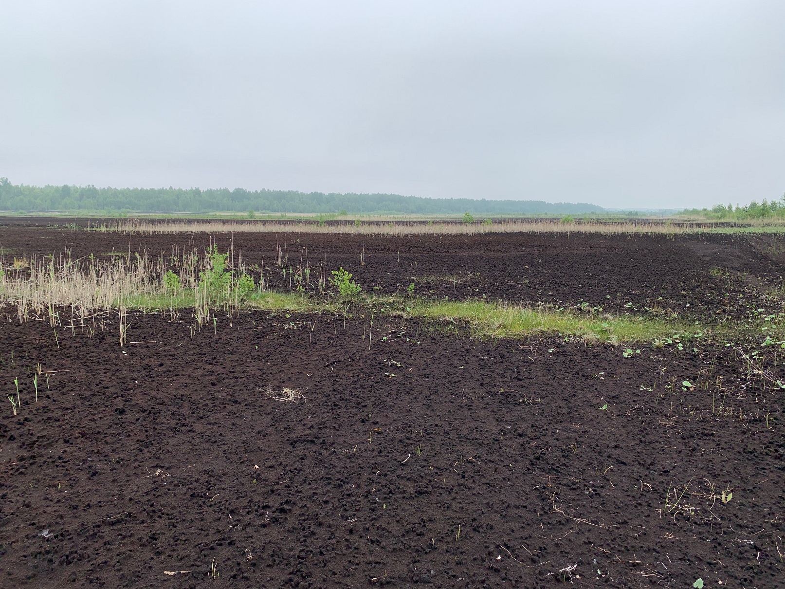 Заброшенные поля фрезерного торфа