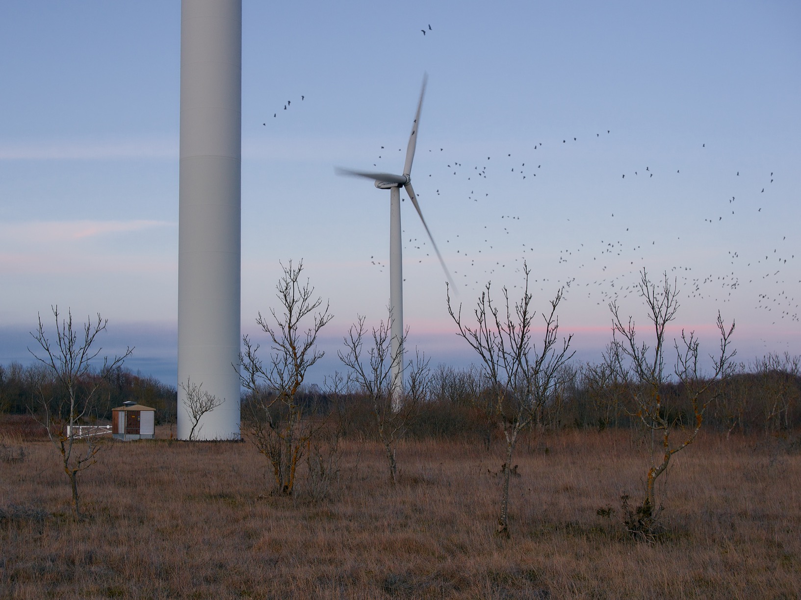 Ветряные электростанции 